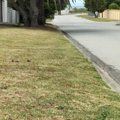 15 on 11th Summerstrand