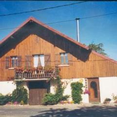 Gîte nature, 15 km de Gérardmer, randonnée, ski, jardin, terrasse, BBQ, équipements bébé inclus - FR-1-589-64