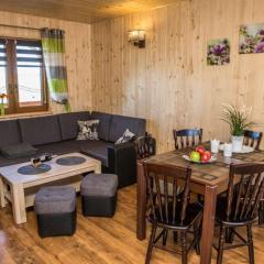 Domki u Majki i Michasi