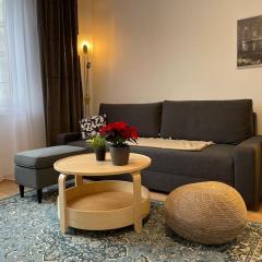 Charming Apartment near City Center