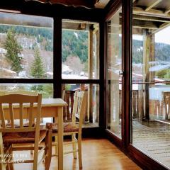 LA NORMA LES BALCONS DE LA Vanoise