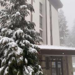 HQ Apartment Flora Violet