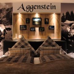 Aggenstein - Helles Studio mit Südbalkon und traumhaftem Bergpanorama in Pfronten Mitte