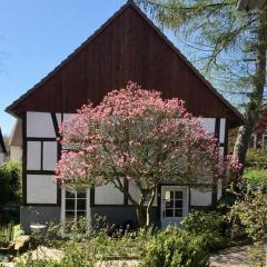 Gemütliches Ferienhaus im Extertal/ Lippe