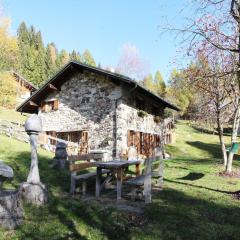 Wooden chalet in Pieve Tesino with garden