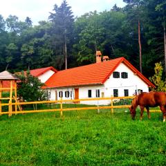 Turistična kmetija Hiša ob gozdu pri Ptuju