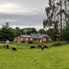 Cabañas Maullin, Las Chilcas