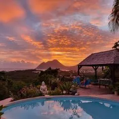 TI coin de paradis Frangipanier