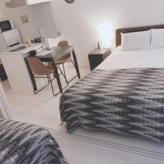 ＥＵＲＯＰＥＡＮ ＨＯＵＳＥ ＲＥＩＳＥＮ - Vacation STAY 10490v