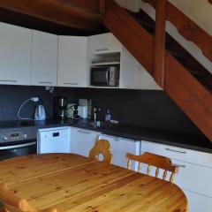 Appartement confortable à Châtel, proche des télésièges, avec Wi-Fi - FR-1-693-49