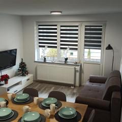 Apartament Zdrojowy II