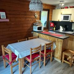 Appartement duplex à Châtel - 3 pièces, 6 personnes, parking couvert, proche télésiège et navettes - FR-1-198-104