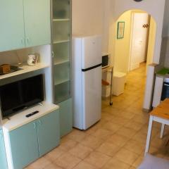 La Primula sanremese