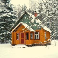 Nedsaja metsamaja ja saun