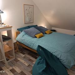 Magnifique Studio Climatisation, parking à vélos, vélos en option, Centre ville Parking privé Jardin