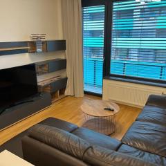 Apartman Holesovice,balkon,garaz