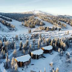 Holiday homes Ruka