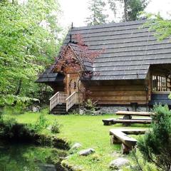 Domek Raj Zakopane