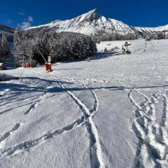 Laye Station - Appartement pieds des pistes