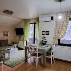 A&F Zlatiborski apartman