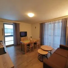 Apartmán Praděd v Říčkách - Říčky v Orlických horách