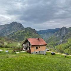 Family owned self sufficient ECO farm TARA