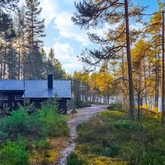 Awesome Home In Fyresdal With Kitchen