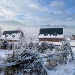 Tatra Twin House