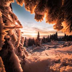 Ferienwohnung im Chaletstil Ährenglück 70 qm Wellness Fitness Sauna Bergrödelhof