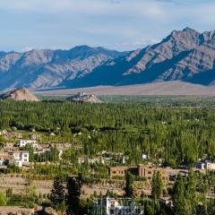 Thiksey Gompa View Homestay