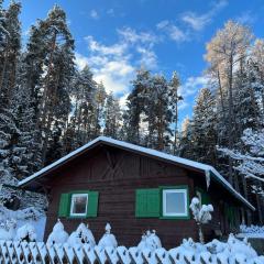 Waldchalet am Eichhof
