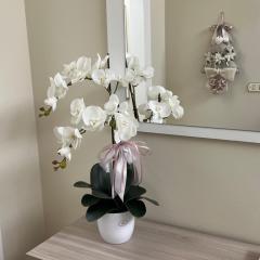 Casa vacanze l’orchidea