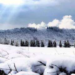 La Maison du Sabotier