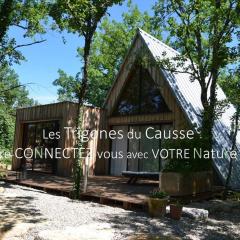 Les Trigones du Causse - Maison Insolite avec accès piscine libre indépendant