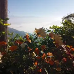 Unique point home stay