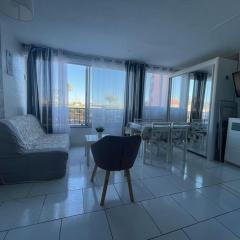 Superbe appartement 6 personnes avec piscine secteur Richelieu, à 400m de la plage et à 650m du centre port