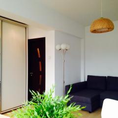 Cozy Studio - Floreasca/​Dorobanti - Bucharest