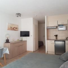 Studio Climatisé 2/3 Pers - Proche Plage et Commerces - Wifi Gratuit - FR-1-466A-18