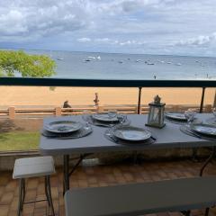 Appartement T2 cabine avec parking, animaux admis - FR-1-374-179