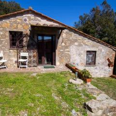 Holiday home in Caldana - Toskana 43473