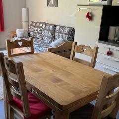 Appartement cosy avec accès direct aux pistes, animaux acceptés - Belle Plagne - FR-1-181-982