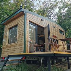 Tiny House in Garden with Sea View