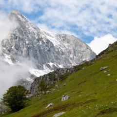 Apartment La Collina by Interhome