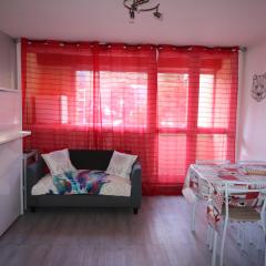 Studio St Lary village-vue montagne.