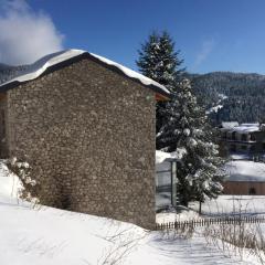 stylish n cosy villa in evritania Agios Nikolaos