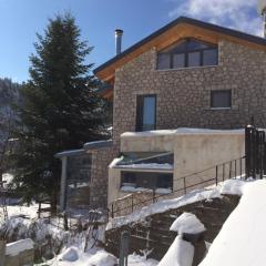 stylish n cosy villa in evritania Agios Nikolaos