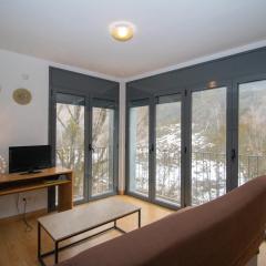 Apartamentos Canillo 3000