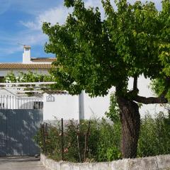 Cortijo Los Liñanes