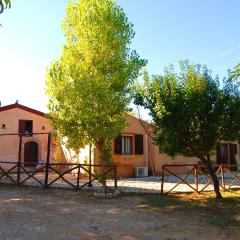 Agriturismo Terra Di Pace