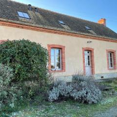 Gîte Connerré, 5 pièces, 8 personnes - FR-1-410-376